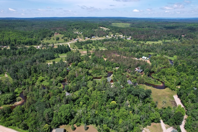 9766 Grandview Rd, Wolverine, MI 49799 - photo 4