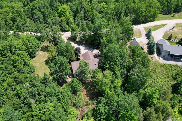 9766 Grandview Rd, Wolverine, MI 49799 - photo 8