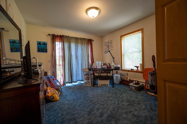 9766 Grandview Rd, Wolverine, MI 49799 - photo 20