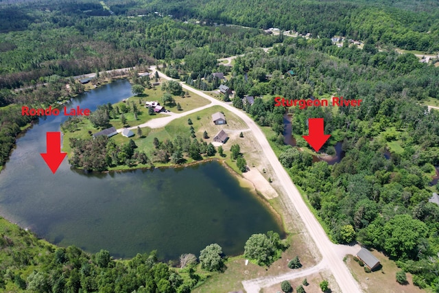 9766 Grandview Rd, Wolverine, MI 49799 - photo 3