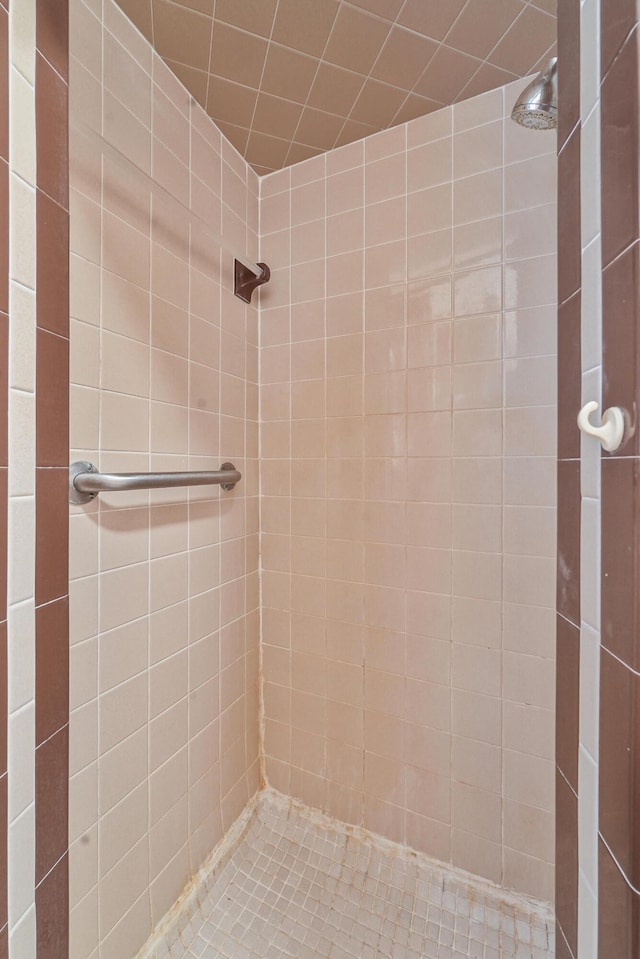 12328 W Shore Dr, Houghton Lake, MI 48629 - bathroom with tiled shower