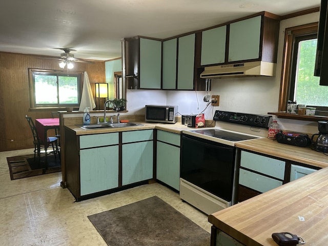 379 E Clarence Rd, Harrison, MI 48625 - kitchen featuring electric range, stainless steel microwave, under cabinet range hood, and green cabinets