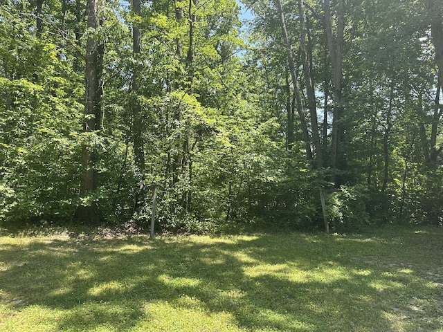 379 E Clarence Rd, Harrison, MI 48625 - view of grassy yard featuring a view of trees