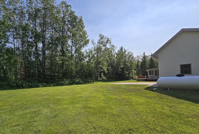 N705 Woods Rd, Saint Ignace, MI 49781 - view of green lawn