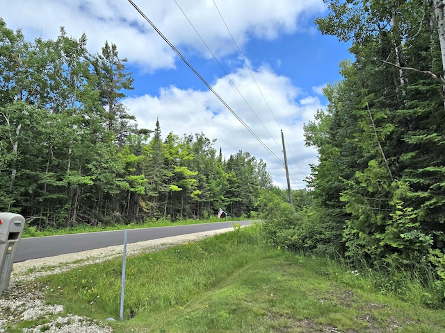 N705 Woods Rd, Saint Ignace, MI 49781 - view of asphalt street with a view of trees
