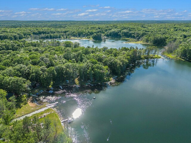 2342 S Perch Lake Dr, Gaylord, MI 49735 - photo 46