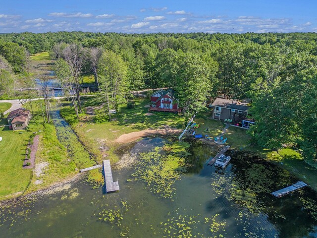 2342 S Perch Lake Dr, Gaylord, MI 49735 - photo 48