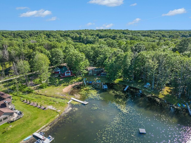 2342 S Perch Lake Dr, Gaylord, MI 49735 - photo 51