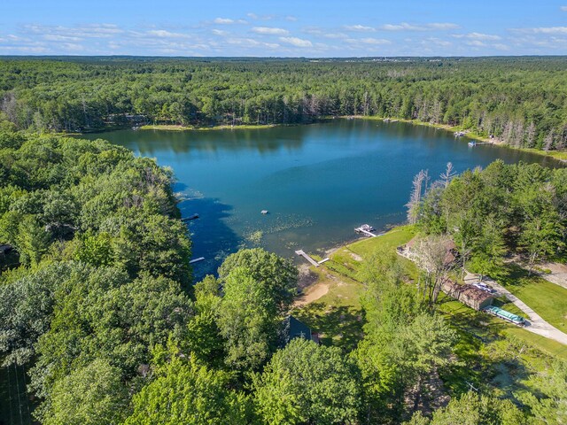 2342 S Perch Lake Dr, Gaylord, MI 49735 - photo 56