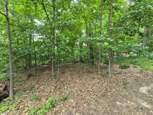 10 Goldfinch St, Gaylord, MI 49735 - photo 1