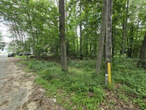 10 Goldfinch St, Gaylord, MI 49735 - photo 3