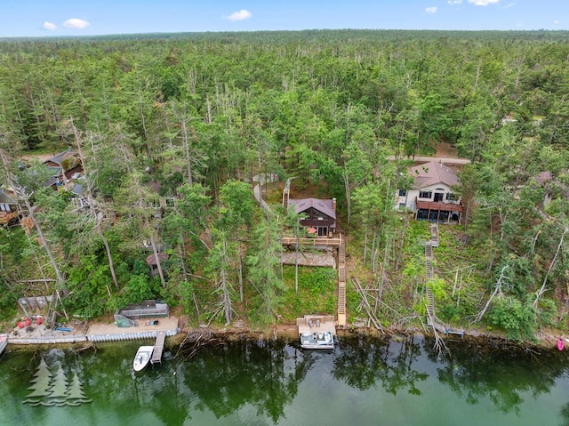 6609 Honey Ln, Johannesburg, MI 49751 - drone / aerial view of a heavily wooded area and a nearby body of water
