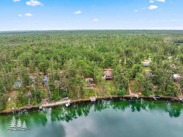 6609 Honey Ln, Johannesburg, MI 49751 - bird's eye view of a heavily wooded area and a nearby body of water