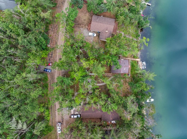 6609 Honey Ln, Johannesburg, MI 49751 - bird's eye view of a large body of water