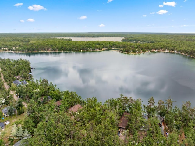 6609 Honey Ln, Johannesburg, MI 49751 - aerial view of a heavily wooded area and a nearby body of water