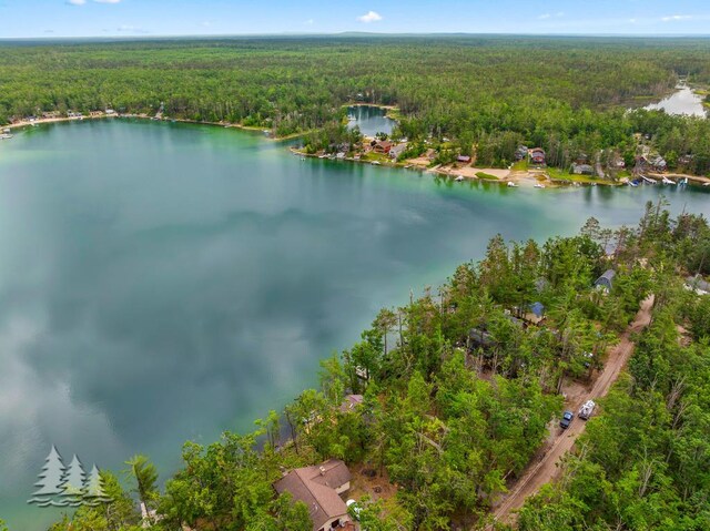 6609 Honey Ln, Johannesburg, MI 49751 - bird's eye view of a forest and a large body of water