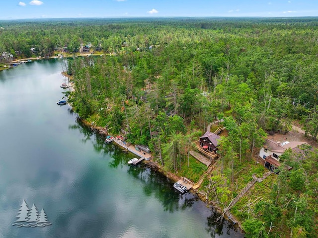 6609 Honey Ln, Johannesburg, MI 49751 - drone / aerial view of a forest and a nearby body of water