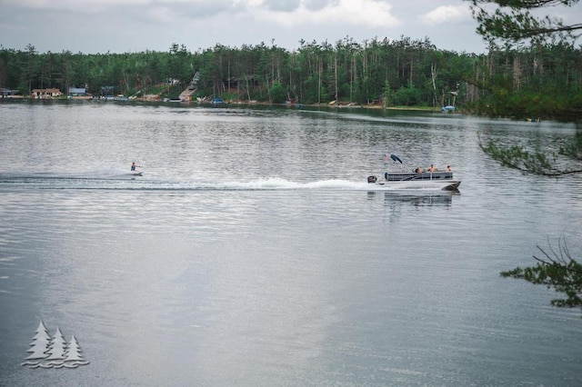 6609 Honey Ln, Johannesburg, MI 49751 - water view featuring a heavily wooded area