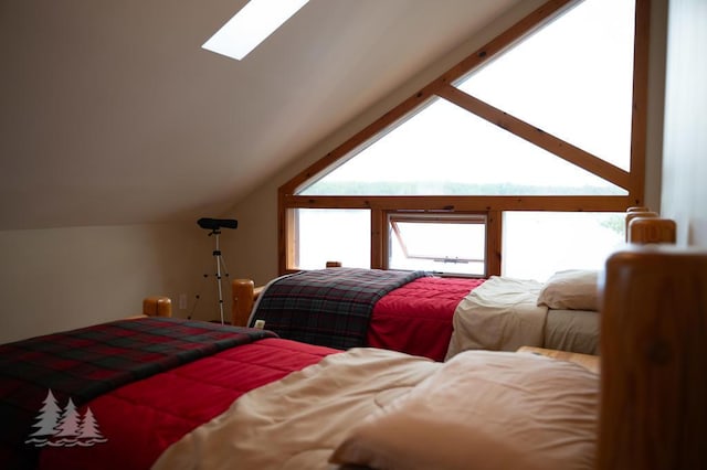 6609 Honey Ln, Johannesburg, MI 49751 - bedroom with vaulted ceiling and a skylight