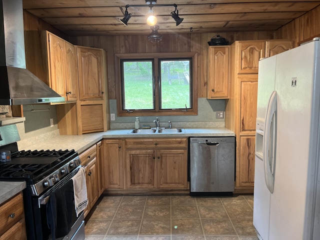 2359 Watson Hills Trl, Vanderbilt, MI 49795 - kitchen featuring appliances with stainless steel finishes, wall chimney range hood, wooden ceiling, light countertops, and ceiling fan