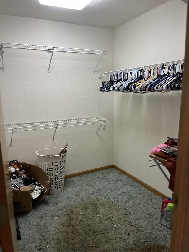 2359 Watson Hills Trl, Vanderbilt, MI 49795 - spacious closet featuring carpet