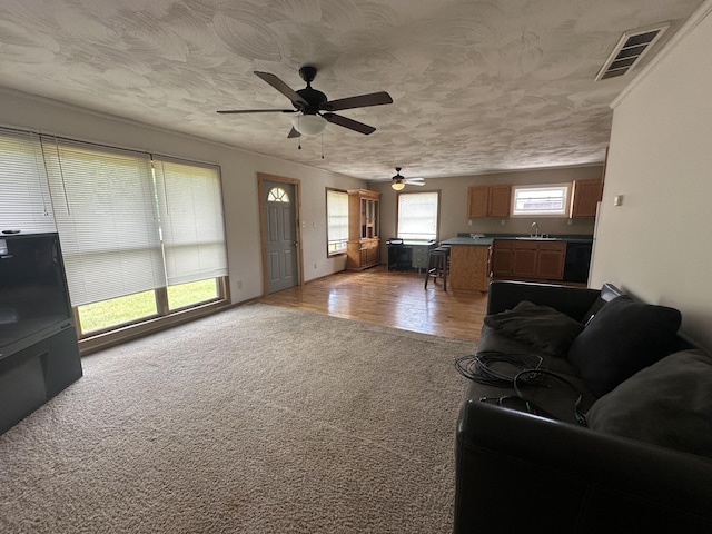 4974 Meridian Line Rd, Johannesburg, MI 49751 - living room featuring light colored carpet, ceiling fan, light wood-style floors, and a textured ceiling