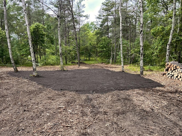LOT21 W Roberta Dr, Roscommon, MI 48653