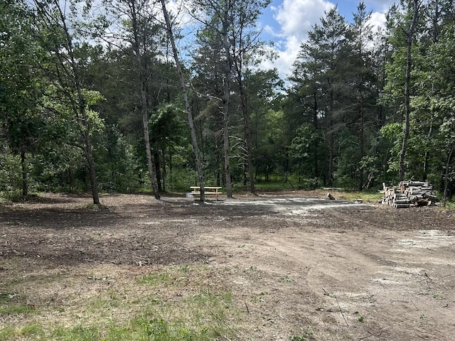 LOT21 W Roberta Dr, Roscommon, MI 48653