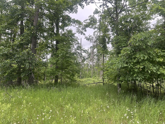 V/L Wheeler Rd, Johannesburg, MI 49751