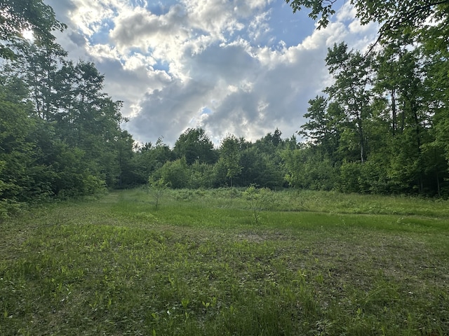 8366 Buck Trl, Frederic, MI 49733