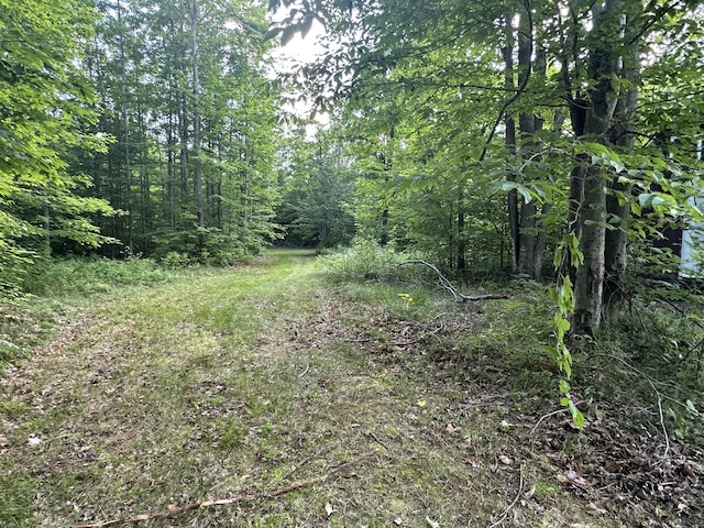 8366 Buck Trl, Frederic, MI 49733