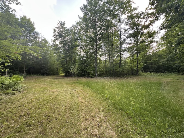 8366 Buck Trl, Frederic, MI 49733