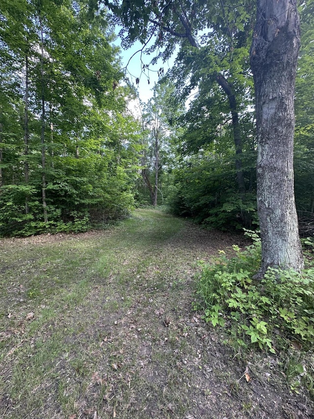 8366 Buck Trl, Frederic, MI 49733