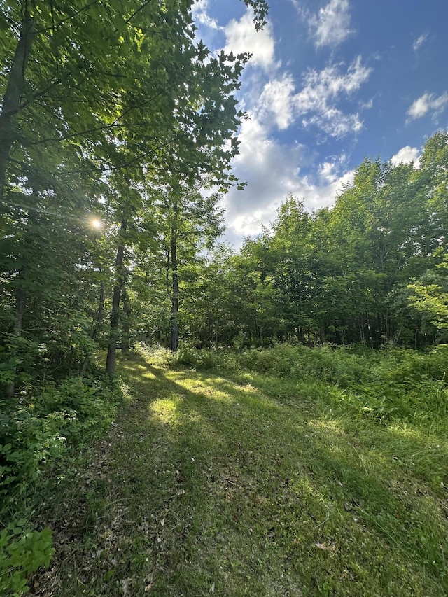 8366 Buck Trl, Frederic, MI 49733