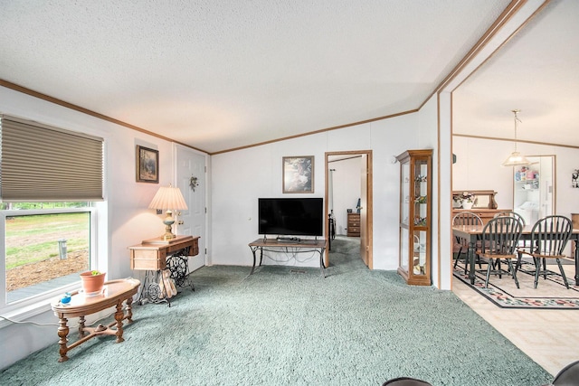 6691 Boone Ln, Vanderbilt, MI 49795 - carpeted living room featuring vaulted ceiling, ornamental molding, and a textured ceiling