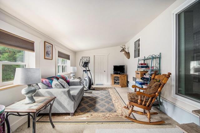 6691 Boone Ln, Vanderbilt, MI 49795 - living room with healthy amount of natural light and vaulted ceiling