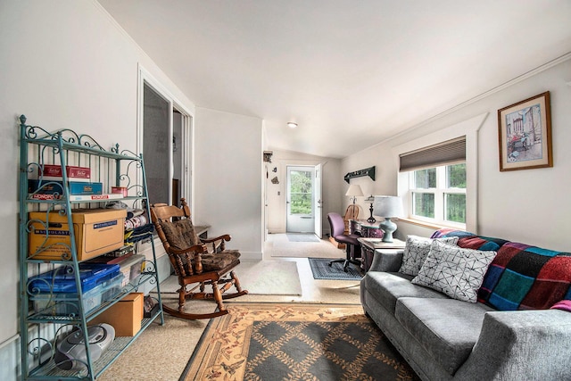 6691 Boone Ln, Vanderbilt, MI 49795 - living area with plenty of natural light, vaulted ceiling, wood finished floors, and ornamental molding