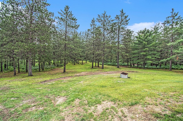 6691 Boone Ln, Vanderbilt, MI 49795 - view of green lawn