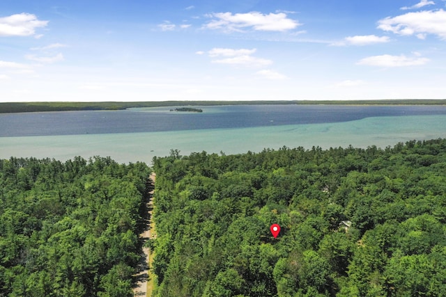 120 Clyde St, Roscommon, MI 48653 - aerial view of a large body of water