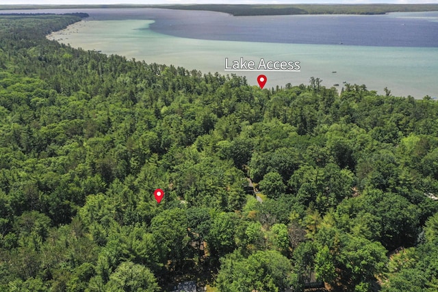 120 Clyde St, Roscommon, MI 48653 - aerial overview of property's location with a nearby body of water