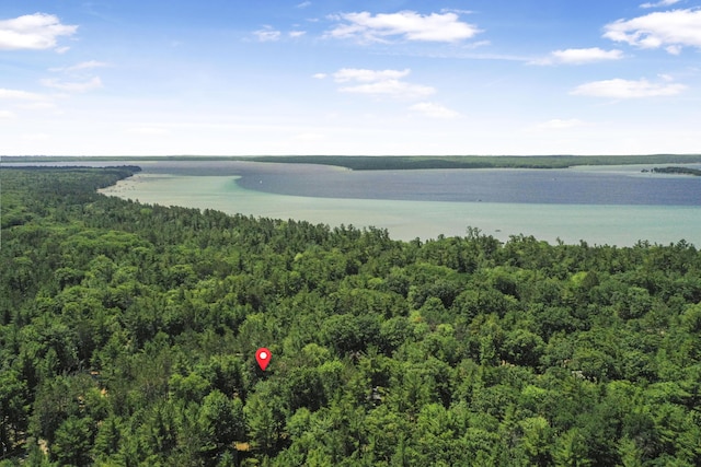 120 Clyde St, Roscommon, MI 48653 - drone / aerial view of a forest and a nearby body of water