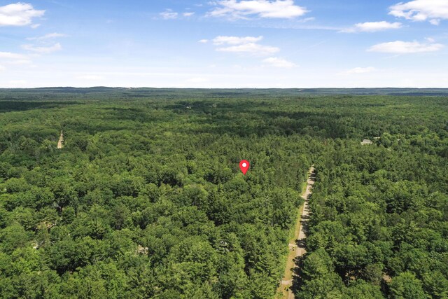 120 Clyde St, Roscommon, MI 48653 - bird's eye view of a heavily wooded area