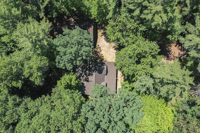 120 Clyde St, Roscommon, MI 48653 - view of property location