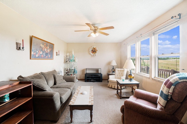 1680 W Huffman Lake Rd, Vanderbilt, MI 49795 - carpeted living room with a ceiling fan