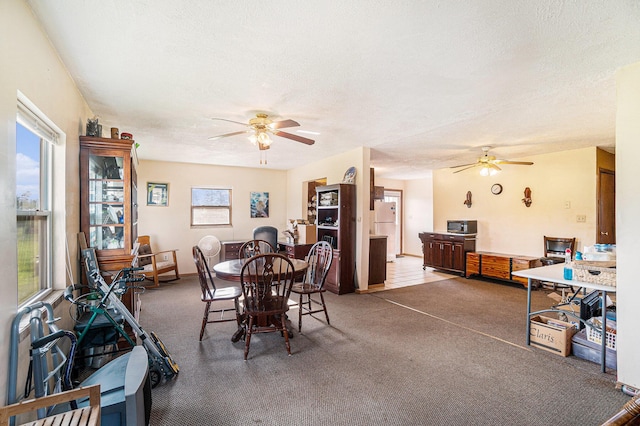 1680 W Huffman Lake Rd, Vanderbilt, MI 49795 - dining area with a ceiling fan, plenty of natural light, carpet, and a textured ceiling