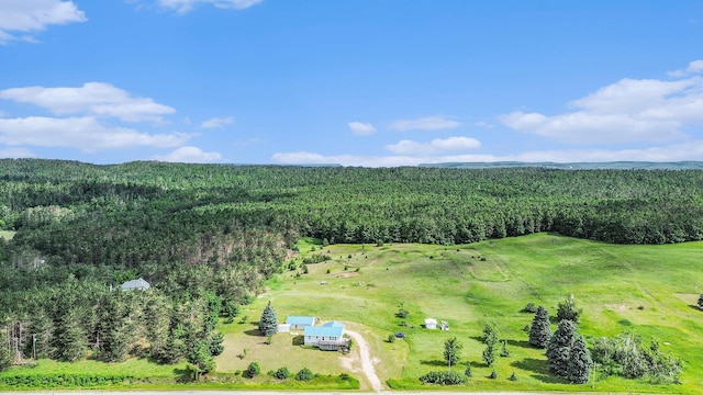 1680 W Huffman Lake Rd, Vanderbilt, MI 49795 - drone / aerial view of a forest