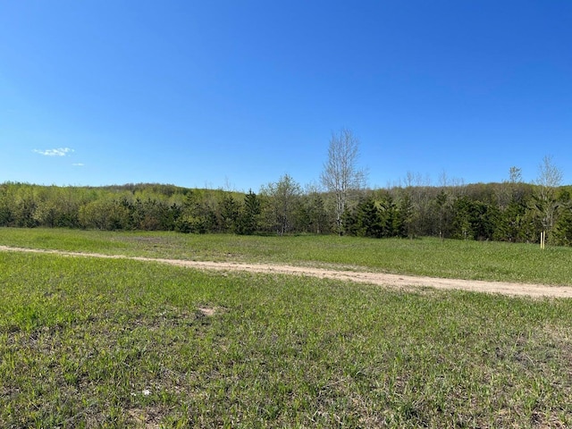 VL40ACRES Mancelona Rd, Gaylord, MI 49735 - photo 5