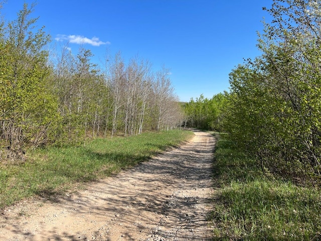 VL40ACRES Mancelona Rd, Gaylord, MI 49735 - photo 6