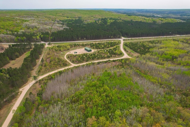 VL40ACRES Mancelona Rd, Gaylord, MI 49735 - photo 8