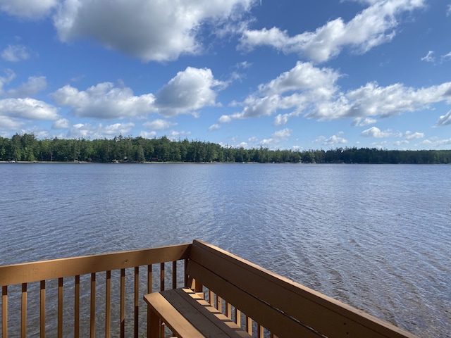 13640 W Shore Dr, Millersburg, MI 49759 - photo 97